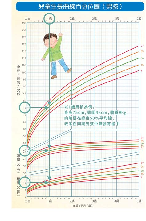 小孩成長過程|掌握嬰兒發展里程碑和生長曲線，成長路上激發孩子的無限潛能